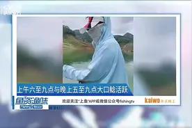 女钓手万峰湖路亚，中获体重41斤体长1.4米超级大口鲶视频封面
