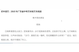 中考语文：2015年广东省中考文学类文本阅读（小说）视频封面