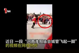 河南：庙会上城管一脚踢翻老人小推车 官方：涉事工作人员被停职视频封面