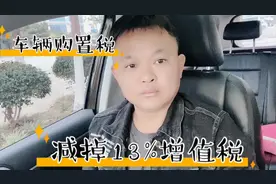 车辆购置税,是按车辆厂家指导价,成交价,开票价交,都不是视频封面