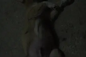 吃得太撑了只有这个睡姿才舒服一些