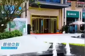 仲恺高新区唯一精装大盘碧桂园#幸福里精装修好房推荐 图片