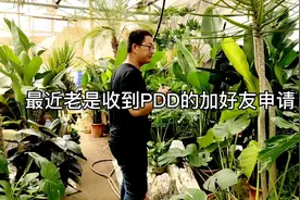 你发现没，最近手机老是提醒某某申请加你好友！视频封面