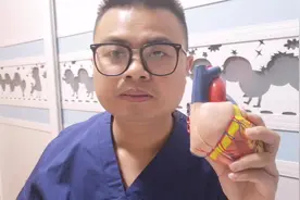 心脏外部结构，主动脉、冠状动脉、上下腔静脉、肺动脉、肺静脉视频封面