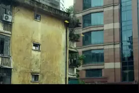 特殊身份：甄子丹看见对面的小孩，感觉不对劲，立马打电话给警察视频封面