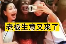 全民配音大赛：美女跟猴子拍照，老板应该收多少钱视频封面