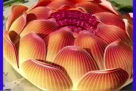 恒大新球场亮相！来自许家印的亲自构思