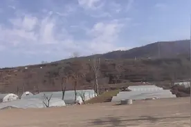 天水站去麦积山的路上，一路都是绵延不绝的山脉，壮观啊视频封面