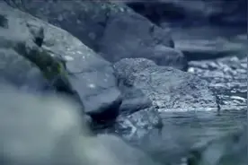 鞠婧祎-缘尽世间(单人版)