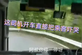 老司机开快车直接把女乘客吓得尖叫大哭，网友，交警在路口等你视频封面