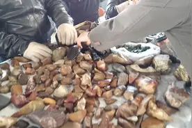 哈密的周末奇石市场，偶遇个内地行家老爷子