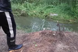 农民急流中下地笼，用了这一招，抓了好多东西，让众人大开眼界视频封面