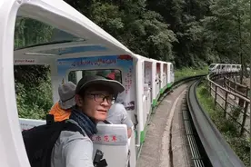 湖南张家界十里画廊坐观光电车看风景，单程票38元，也可以徒步视频封面