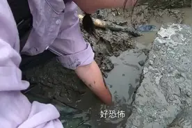 墙边发现了大八爪鱼，表姐直呼很久没有见过，一上来就缠着手不放