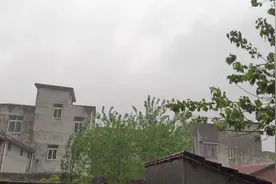 农村下雨家里又没菜熊妈妈做了什么好吃的？做法家常又美味