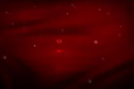 关注！超限超载车辆如何标本兼治～图片