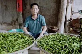 湖南小伙手把手教你怎么腌制正宗老坛酸辣椒，第三步：腌制辣椒