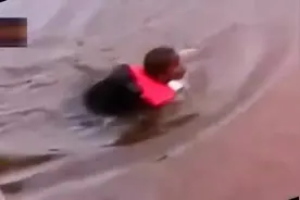 黑狗水中救小孩上岸全过程，感动无数人视频封面