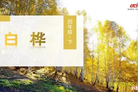 四年级下册语文第11课《白桦》，感受白桦在雪花、寂静和朝霞之美视频封面