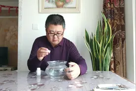 孔雀鱼拖长长的粪便，是咋回事？是肠炎！余月教你这三点可以解决视频封面