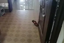 #幸福里精装修好房推荐 常青藤小区精装两房，宽敞明亮大客厅和大阳台，让您尽情享受午后休闲时光图片