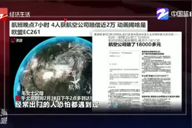 一家四口荷兰飞杭州，航班取消又晚点7小时，航空公司赔了1.8万元视频封面