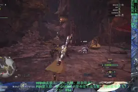 怪物猎人：轻弩（帝王尸套）王灭灭（RMB游击战打法）视频封面