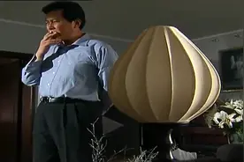 蓝天集团破产却不少人靠蓝天股票发大财，市委书记对此异常愤怒视频封面