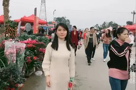 厚脸皮植物你认识多少，广东娜妹带你去看看，摆在家里防辐射！视频封面