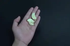 大蒜塞进耳朵，太厉害了多少人不知道它的作用视频封面