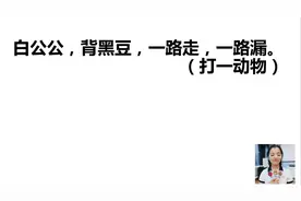 趣味谜语：白公公，背黑豆，一路走，一路漏。（打一动物）视频封面