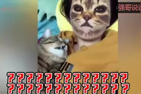 喵見主人「变貓脸」吓到张嘴瞪眼：怀疑貓生