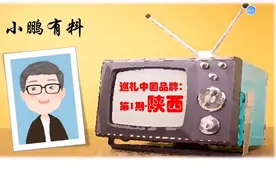 中国品牌看陕西，陕西那些闻名全国的超级品牌，您知道有多牛吗？视频封面