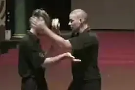 搞笑：我承认德国对螳螂拳的诠释超过了中国视频封面