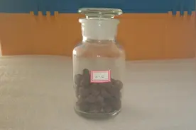 每日一种中药—荔枝核视频封面