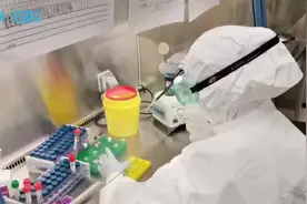 直击新冠病毒核酸检测全过程视频封面