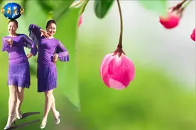 花想容广场舞《爱情专属权》背面演示附教学