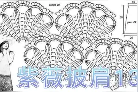 生活中的烟火气，怎么少得了手作之美，很温暖，紫薇披肩之十三视频封面