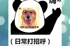 喜大普奔，全国拟禁食猫狗，一起反馈让猫狗再也不会变成盘中餐视频封面
