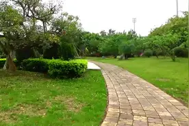 好歌推荐！一首《男人花》歌词朴素，细致好听，优美风韵