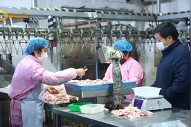 山东省农担移动冷链金融仓落户潍坊市 融资应急两不误视频封面