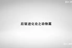 后驱进化论-简单易懂的后驱优势解释