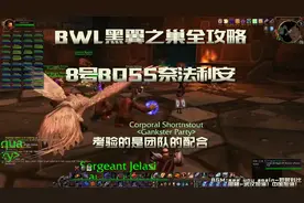 魔兽怀旧「BWL黑翼之巢全攻略」老8 奈法利安 一看就懂的攻略视频封面