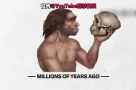 人类进化留下的弊端视频封面