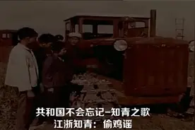 江浙知青之歌-偷鸡谣视频封面