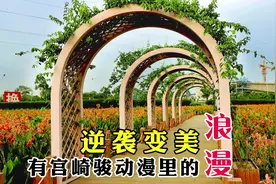 南宁为何被评生态园林城市？臭水沟改造成公园，多少城市能做到？视频封面
