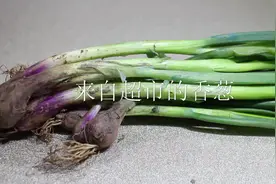 能不能吃？香葱和青菜上经常发现这东西视频封面