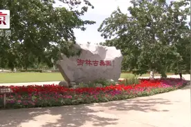 大兴安定桑椹旅游文化节：游桑园品美食视频封面