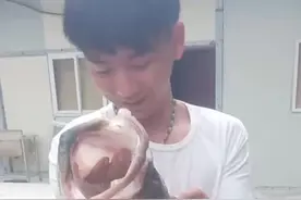 水产养殖过程中胆汁酸这么好用您有了解吗？图片