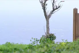 醉后决定爱上你：爱就是事事为她，杰修解决晓如的童年心理创伤